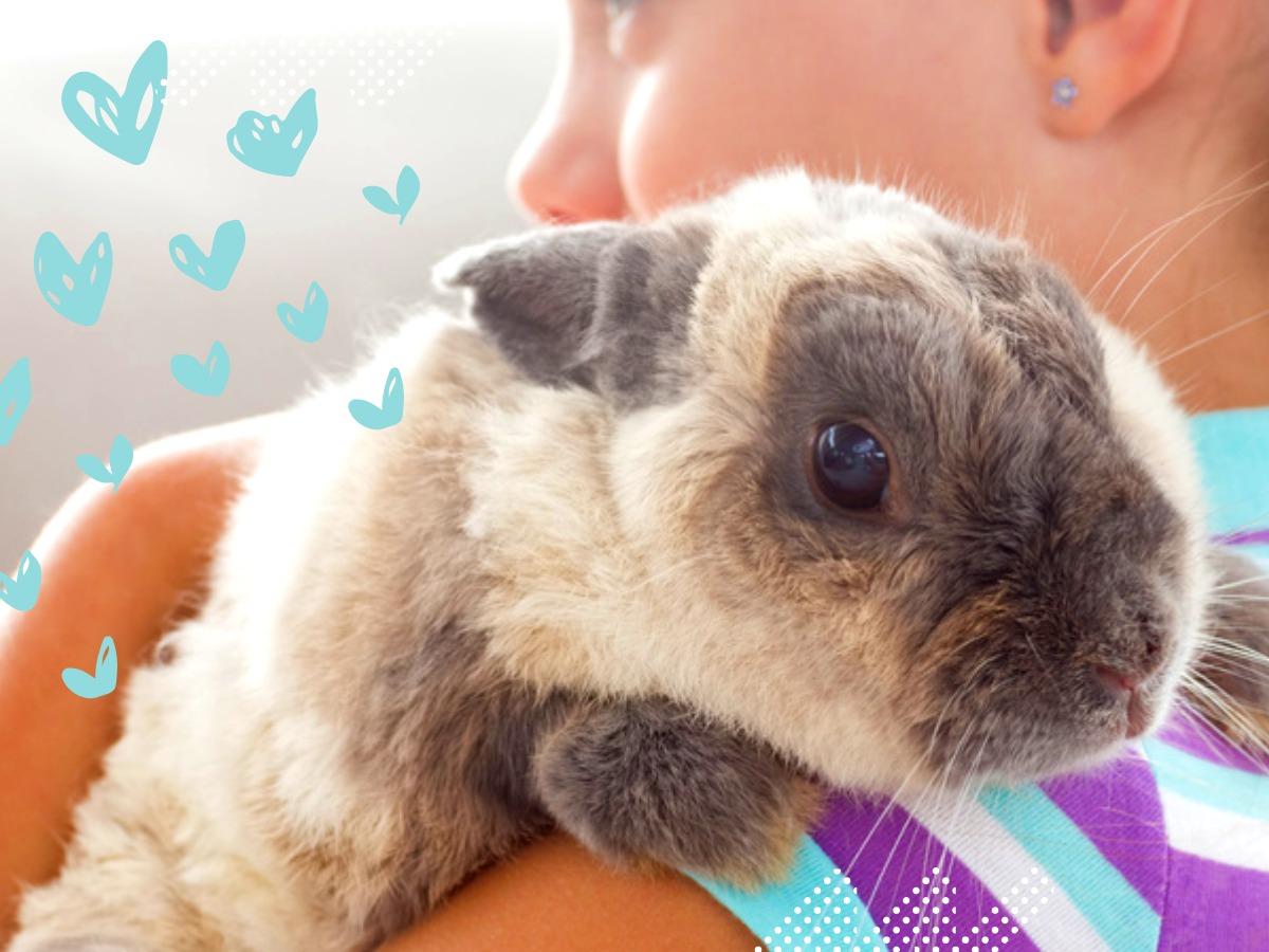 Image of a girl with a cute bunny on her shoulder - Elements for Mexican-inspired design - Image